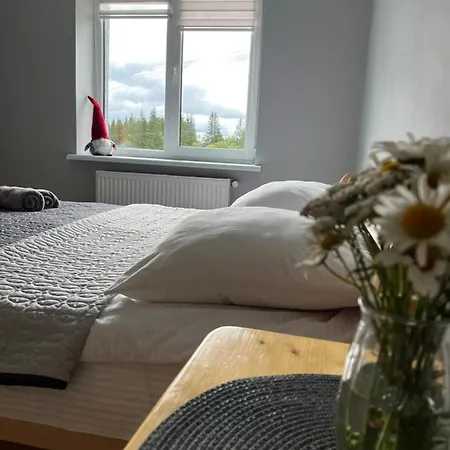 буков'ян 公寓