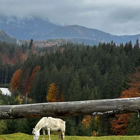 公寓 буков'ян