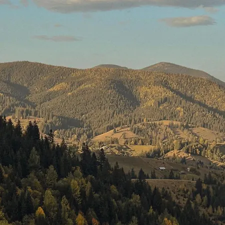 буков'ян * Krivopol'ye